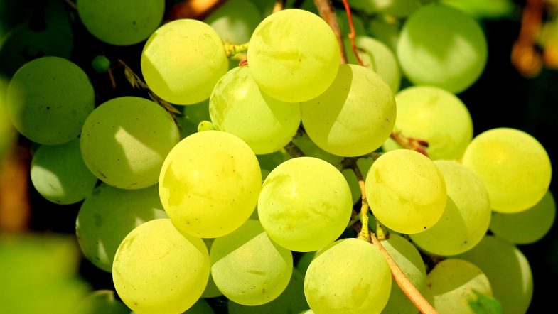Grapes